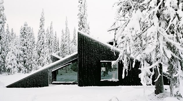 Modern black house with angular architecture in snowy landscape surrounded by snow-covered trees, showcasing contemporary design and winter scenery.
