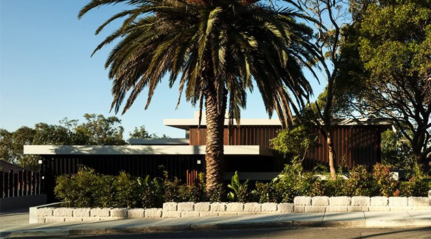 Modern contemporary house with lush landscaping and tall palm trees, architectural design elements, sleek lines, and sustainable building features.