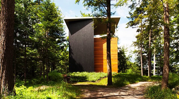 Modern minimalist treehouse with striking black and natural wood exterior, nestled in a lush forest setting.
