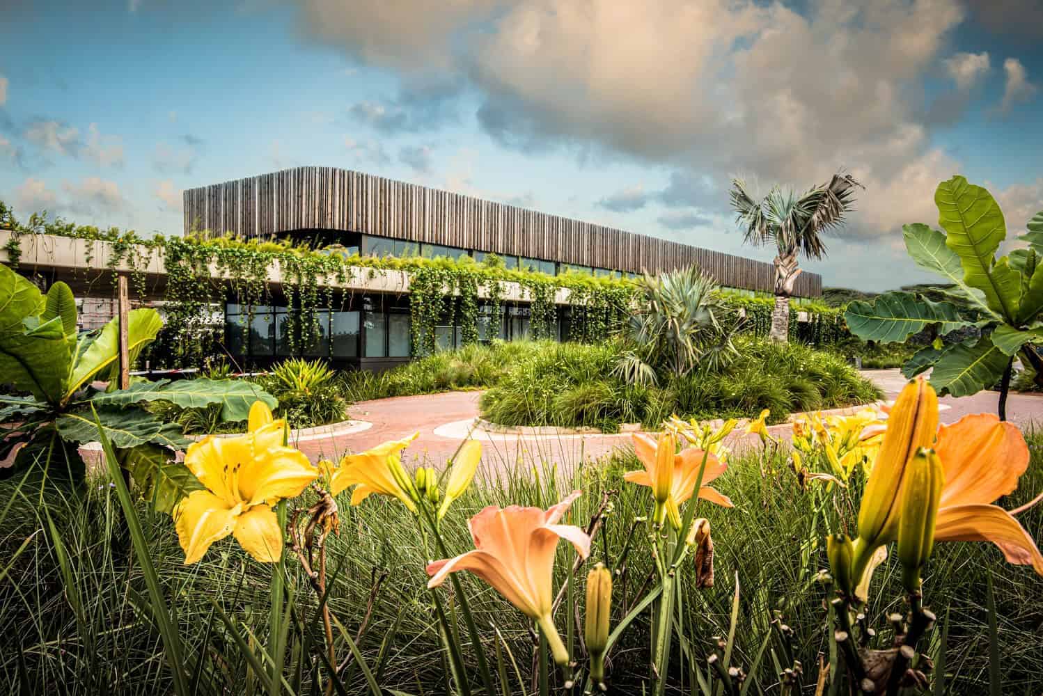 Modern eco-friendly building with lush landscaping and tropical plants, featuring contemporary architecture and sustainable design elements, set against a vibrant sky.