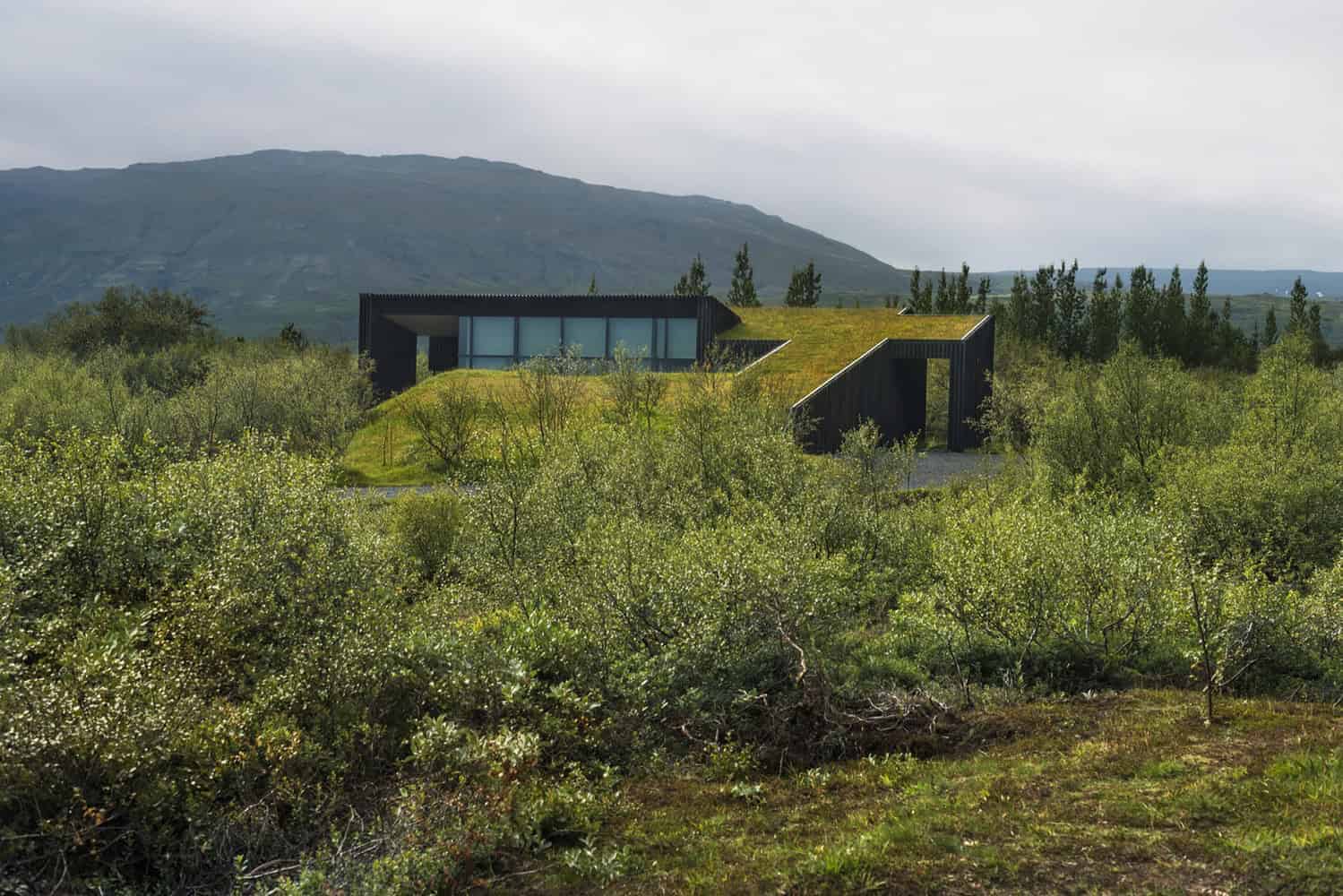Modern black house with green roof blending into natural landscape, minimalist and eco-friendly architecture, scenic mountain view, innovative design in rural setting.