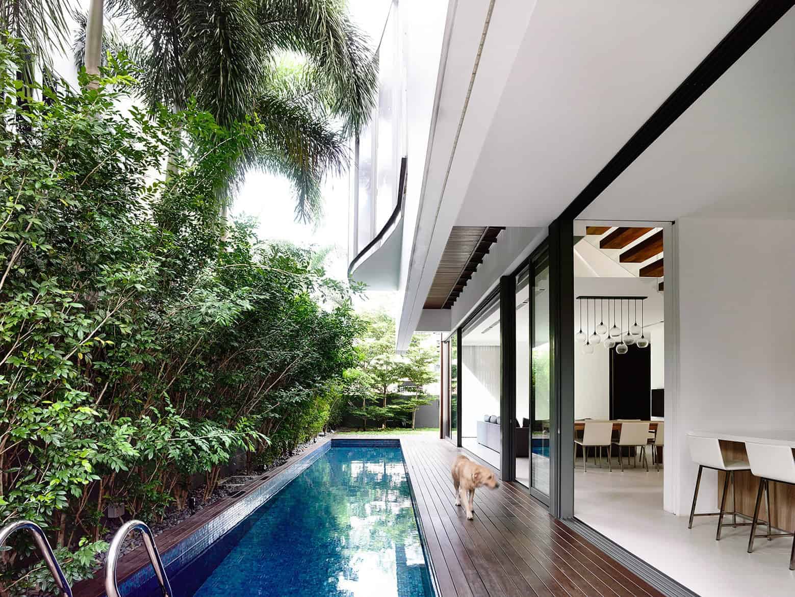 Luxurious modern residential backyard with private swimming pool, lush greenery, and contemporary open-plan interior with sleek furniture and hanging pendant lights.