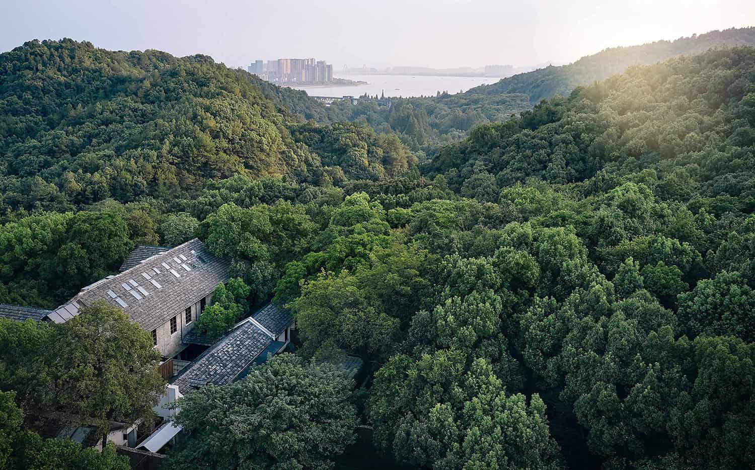 Lush green forest with modern residential buildings nestled among trees, overlooking a distant city and river, showcasing harmony between nature and contemporary architecture.