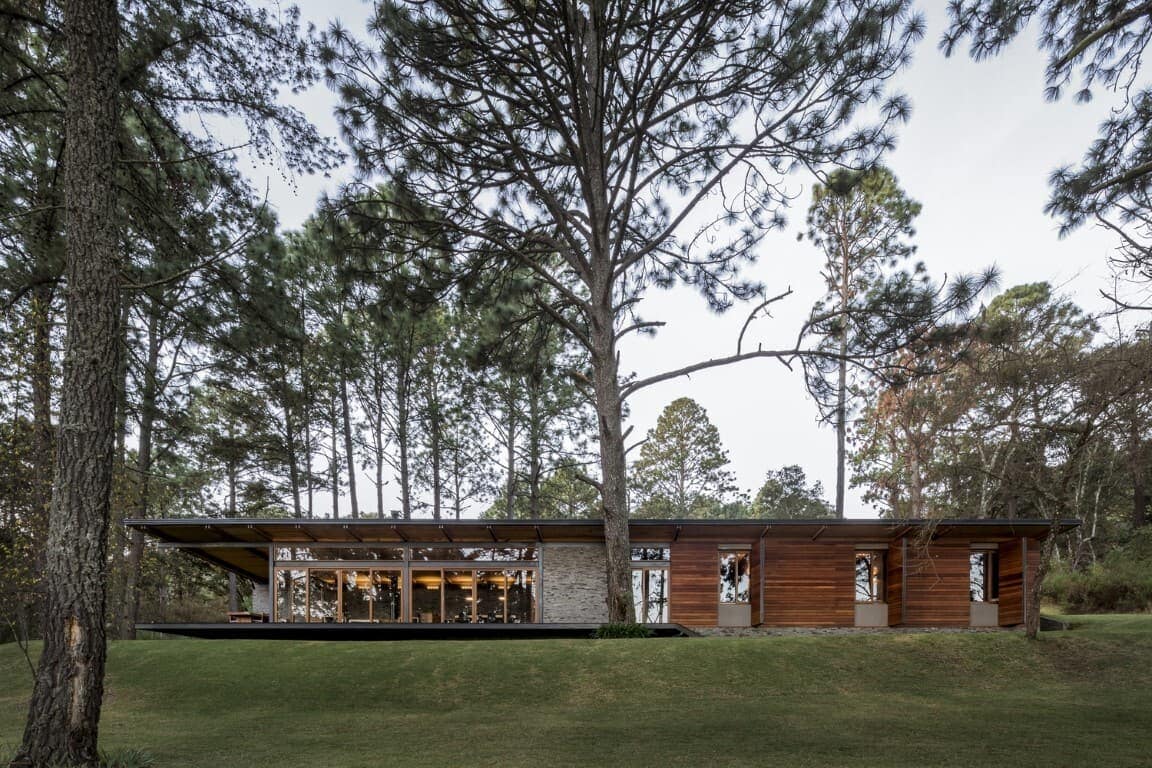 Contemporary modern house with sleek glass walls and wooden accents nestled in a lush forest environment, showcasing innovative architecture and stylish design.