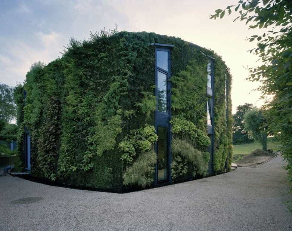 Living green wall designed with lush plants and greenery integrated into modern architecture for eco-friendly building aesthetics.
