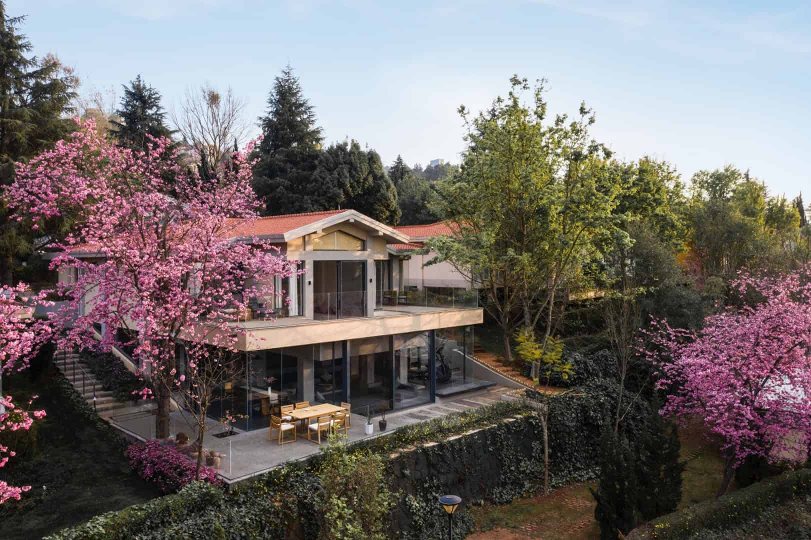 Beautiful modern house surrounded by vibrant pink cherry blossom trees and lush green foliage, showcasing contemporary architecture and scenic natural landscaping.