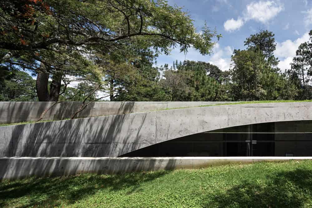 Sustainable modern concrete home blending with lush greenery and mature trees, featuring sleek architectural design and natural surroundings for eco-friendly living.