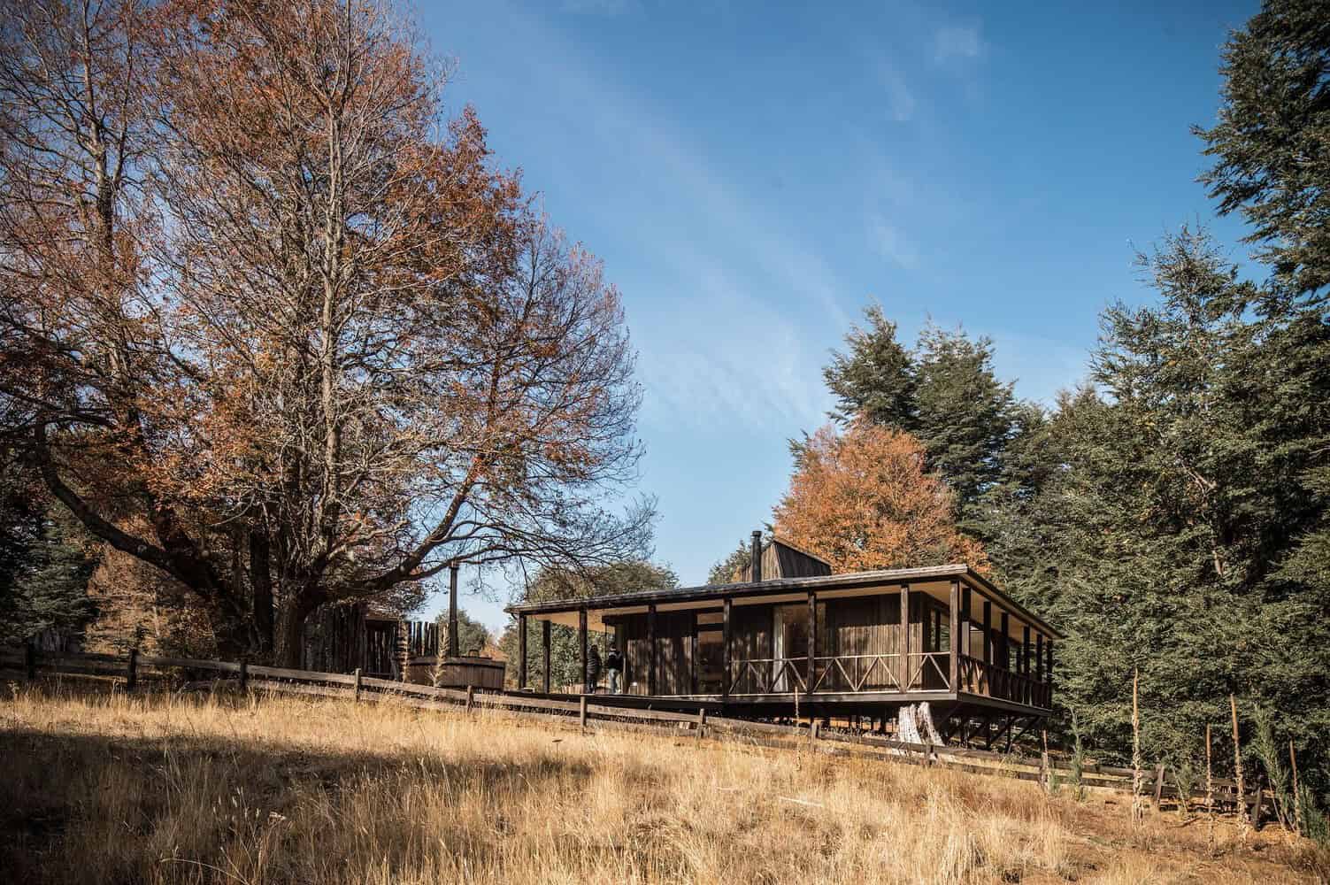 Rustic wooden house with a spacious deck surrounded by trees and fall foliage, showcasing cozy architecture in a natural setting.