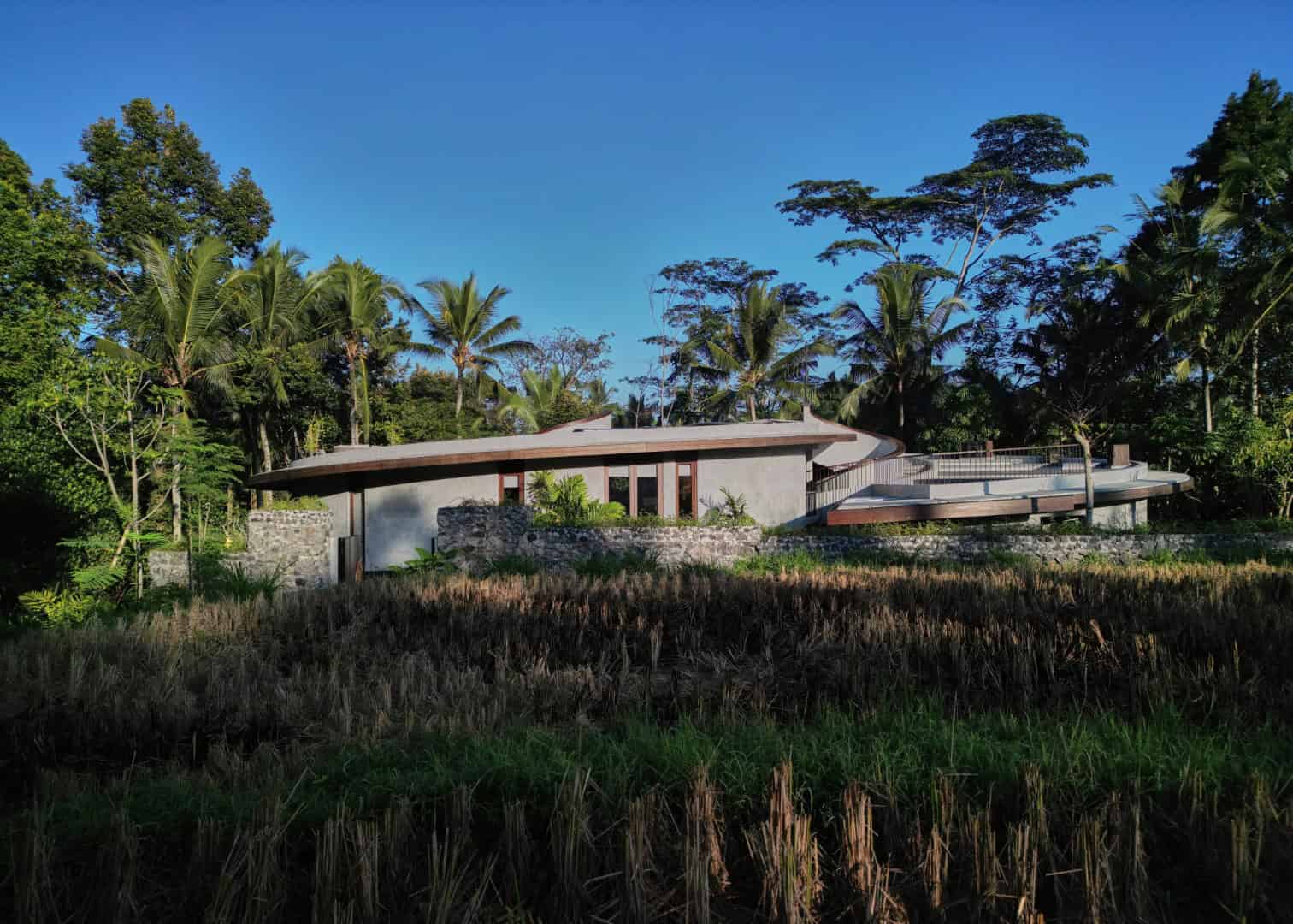 Modern tropical house with curved roof, concrete walls, surrounded by lush greenery and tall palm trees, set against a bright blue sky.