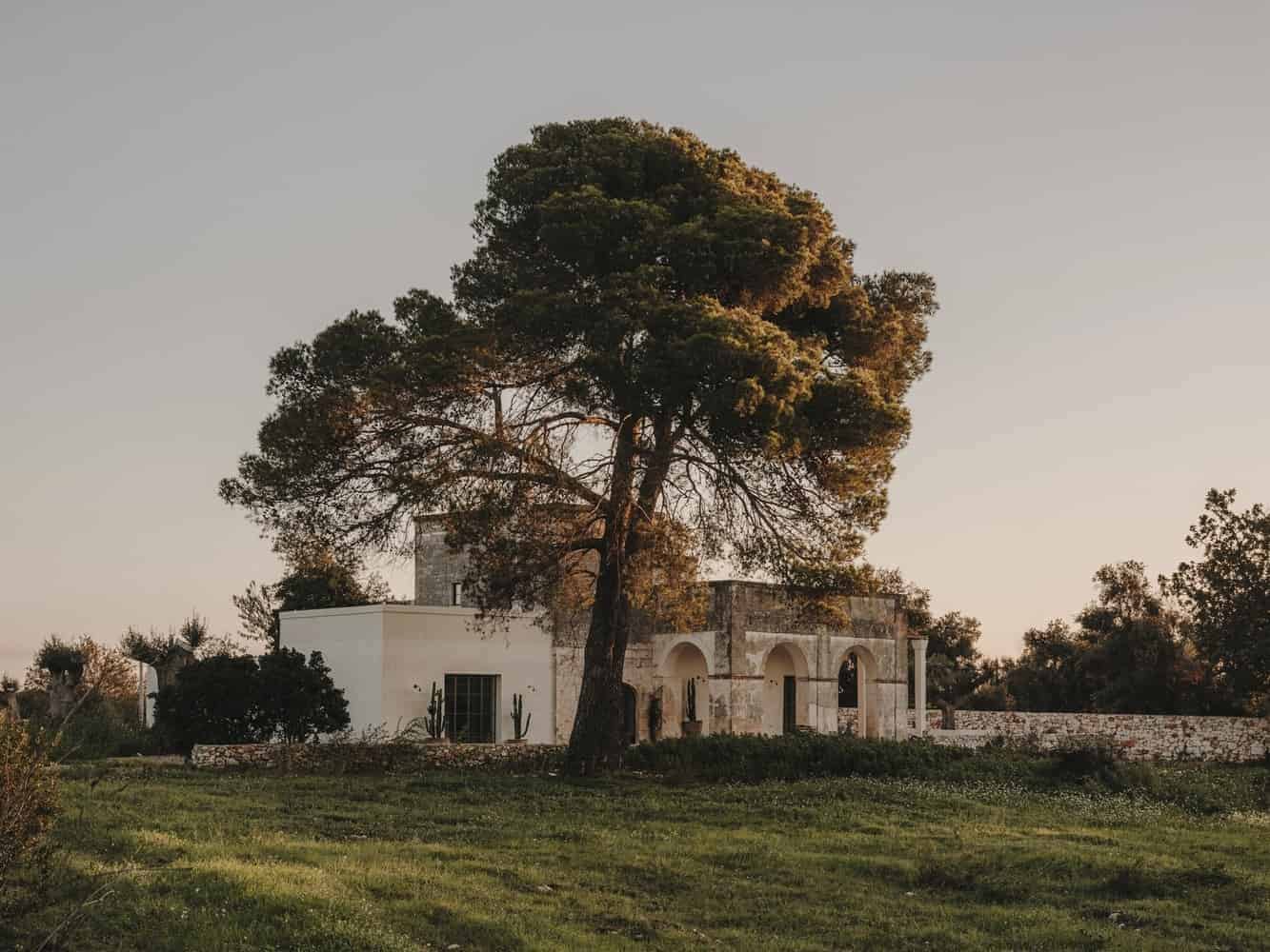 Rustic villa with Mediterranean architecture under a large mature tree, surrounded by greenery and natural landscape, perfect for nature-inspired luxury home design.