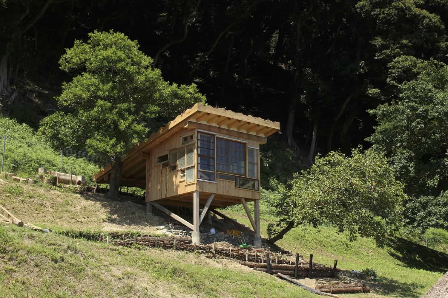 Modern tiny house built on stilts nestled among lush trees on a hillside, showcasing innovative architectural design.