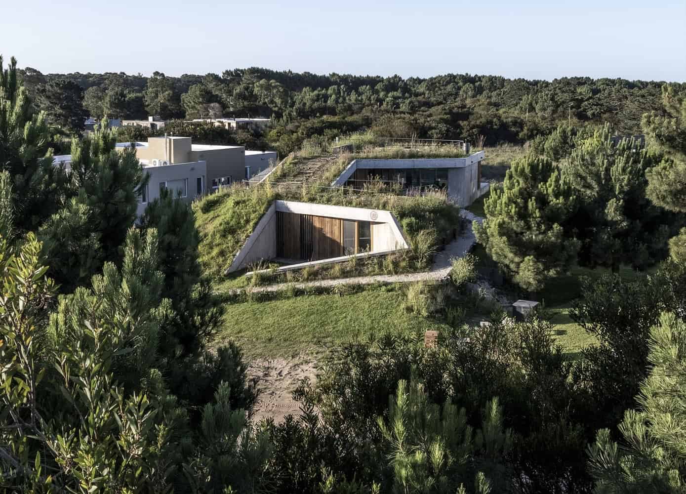 Contemporary eco-friendly hillside houses with green roofs and modern architectural design surrounded by lush nature and trees.