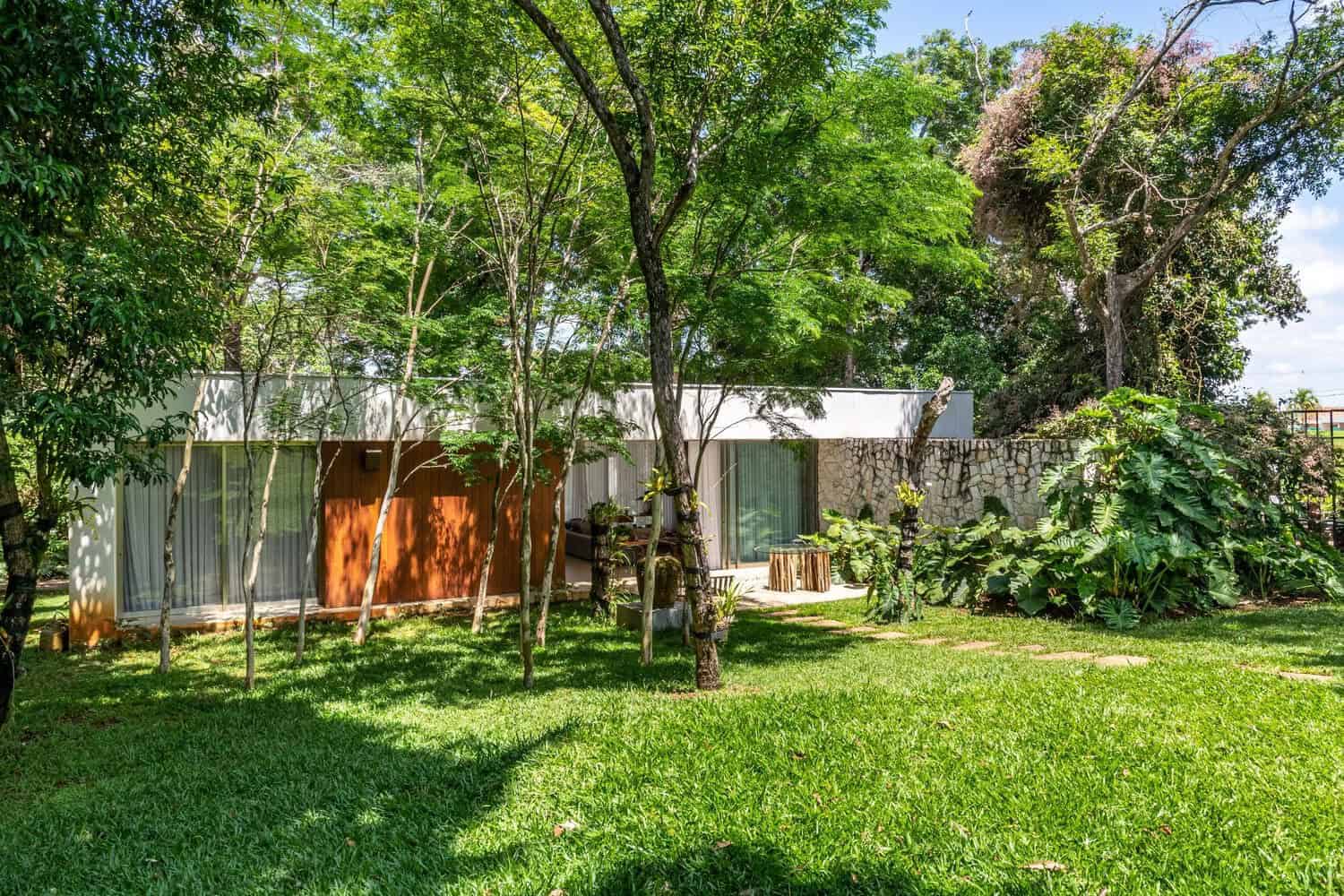 Modern minimalist house with large glass windows and lush greenery, blending contemporary architecture with nature focus, perfect for outdoor living and garden design.