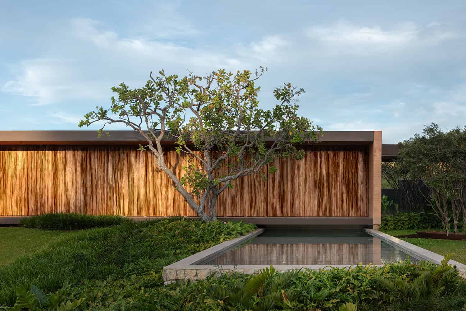 Modern minimalist house with wooden facade, lush green landscaping, and reflecting water feature, showcasing contemporary architecture and innovative design.