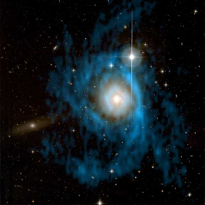 Studying early-type galaxies