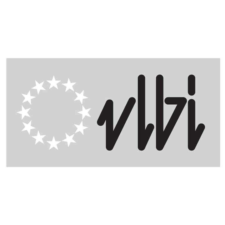 The European VLBI Network (EVN)