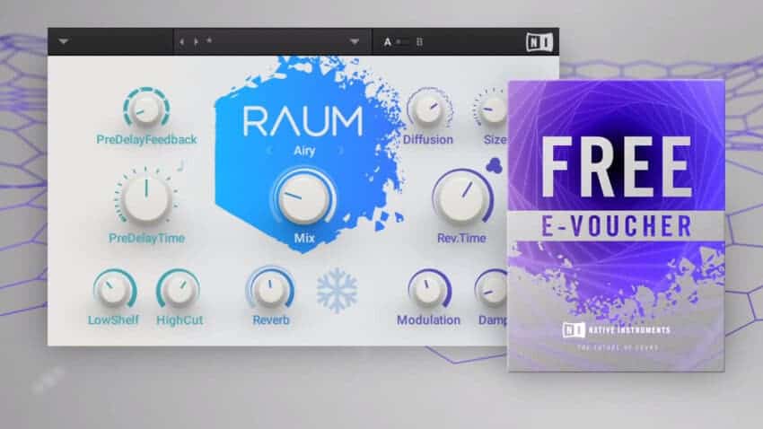 Native Instruments Raum