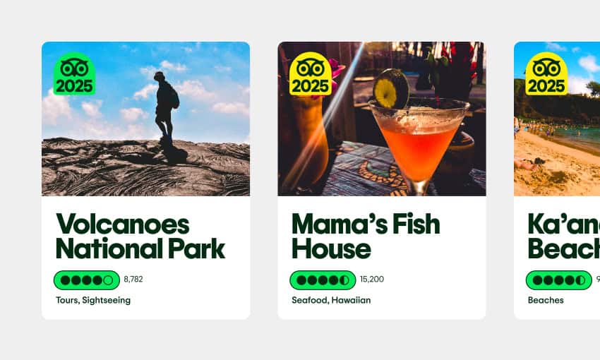 rebranding trip advisor graphiste freelance rennes