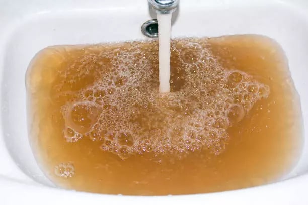 istockphoto 1257647024 612x612 1