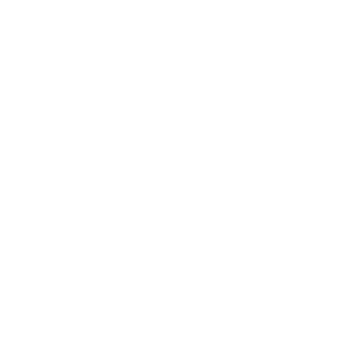 whatsapp icon white