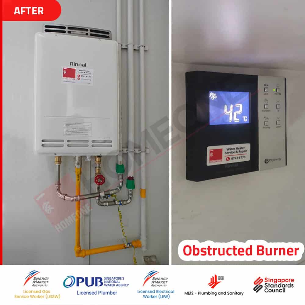 Gas Water Heater Not Working at Botannia PCB and Heat Exchanger issue After replaced