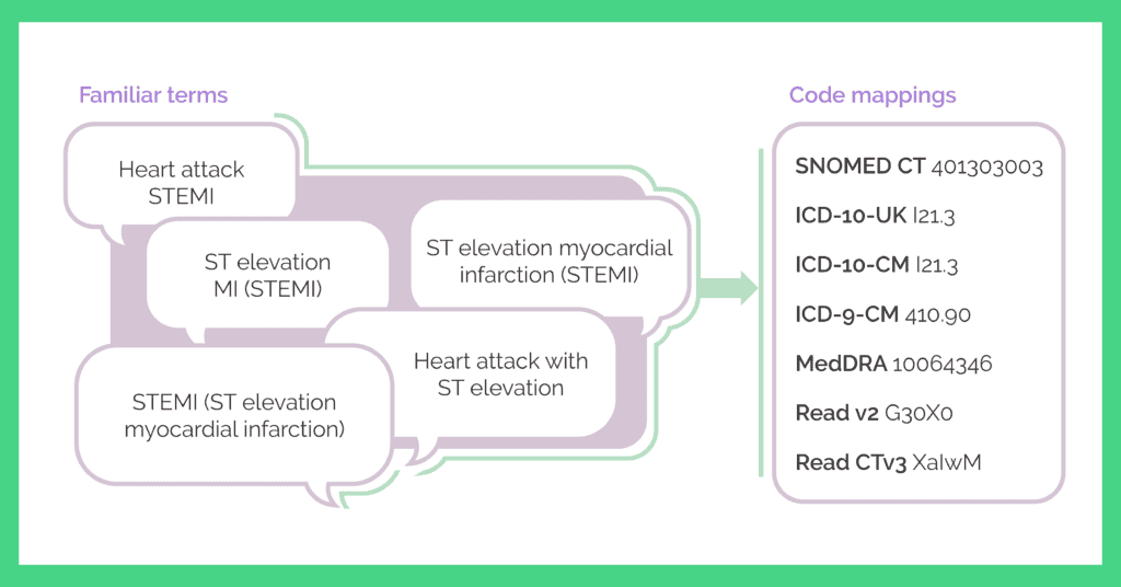 clinical terminology connected to standardized codes