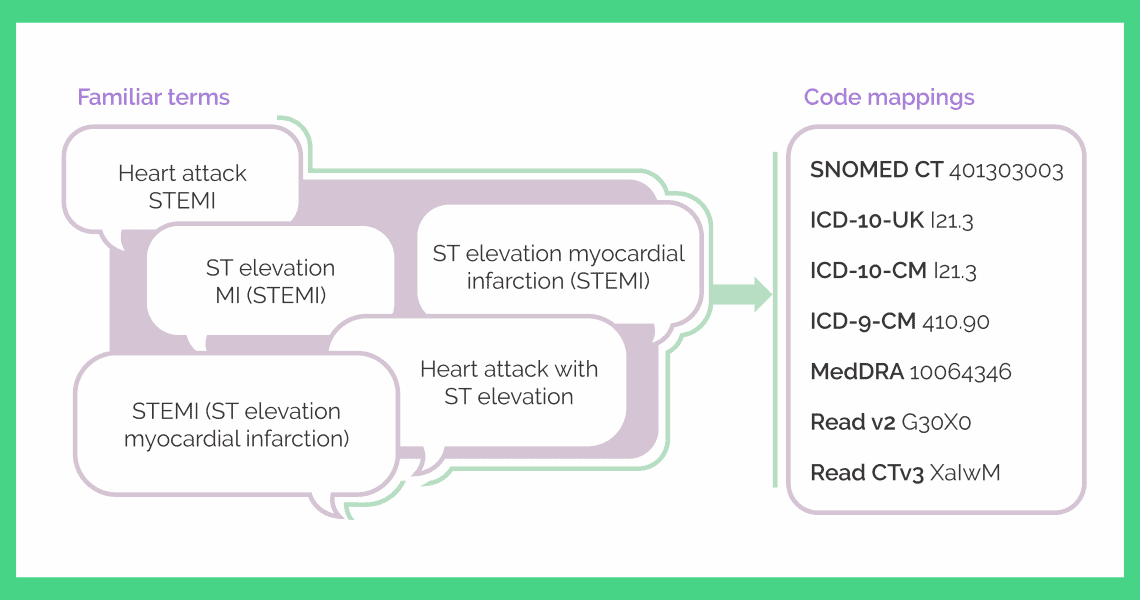 clinical terminology connected to standardized codes