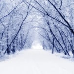 December News