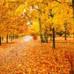 October News