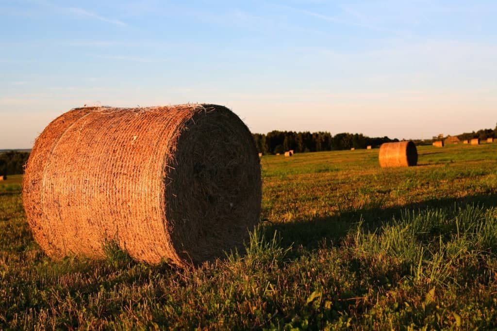 Agriculture Bankruptcy Attorney Greensboro NC