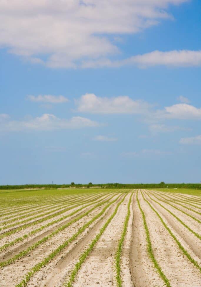 Agriculture Bankruptcy Attorney Greensboro NC