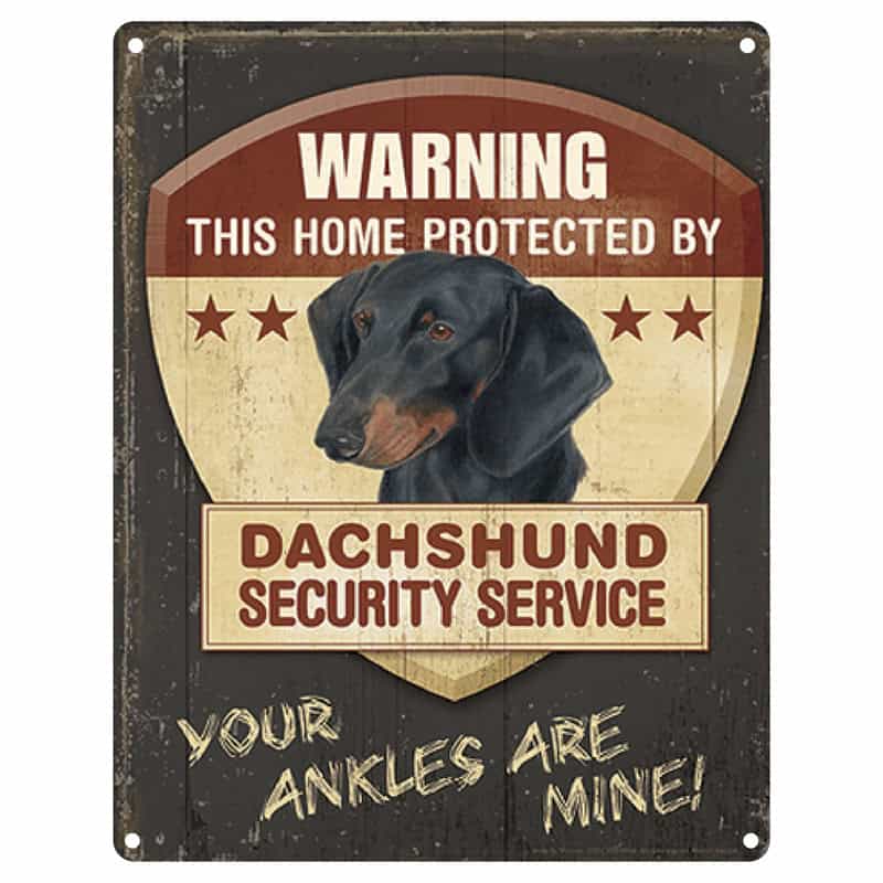 Dachshund Security Tin Sign
