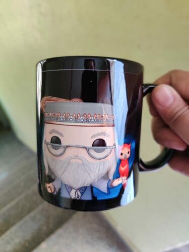 Albus Dumbledore Photo Review