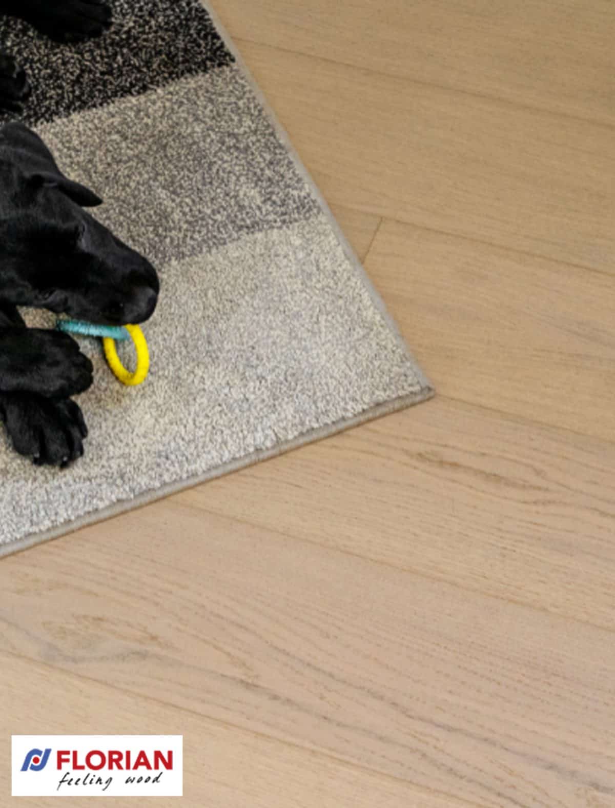 Florian Parquet prefinito Family in legno di Rovere DAIQUIRI Classe Prime - 100% Made in Italy-0 Florian Parquet prefinito Family in legno di Rovere DAIQUIRI Classe Prime - 100% Made in Italy-0