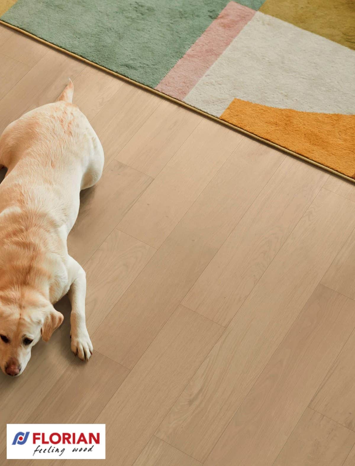 Florian Parquet prefinito Family in legno di Rovere SPRITZ Classe Prime - 100% Made in Italy-0 Florian Parquet prefinito Family in legno di Rovere SPRITZ Classe Prime - 100% Made in Italy-0