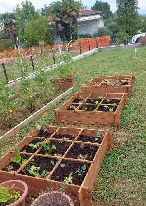 orti rialzati in legno per verdura onlywood