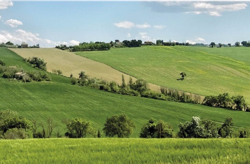 Paesaggio delle Marche