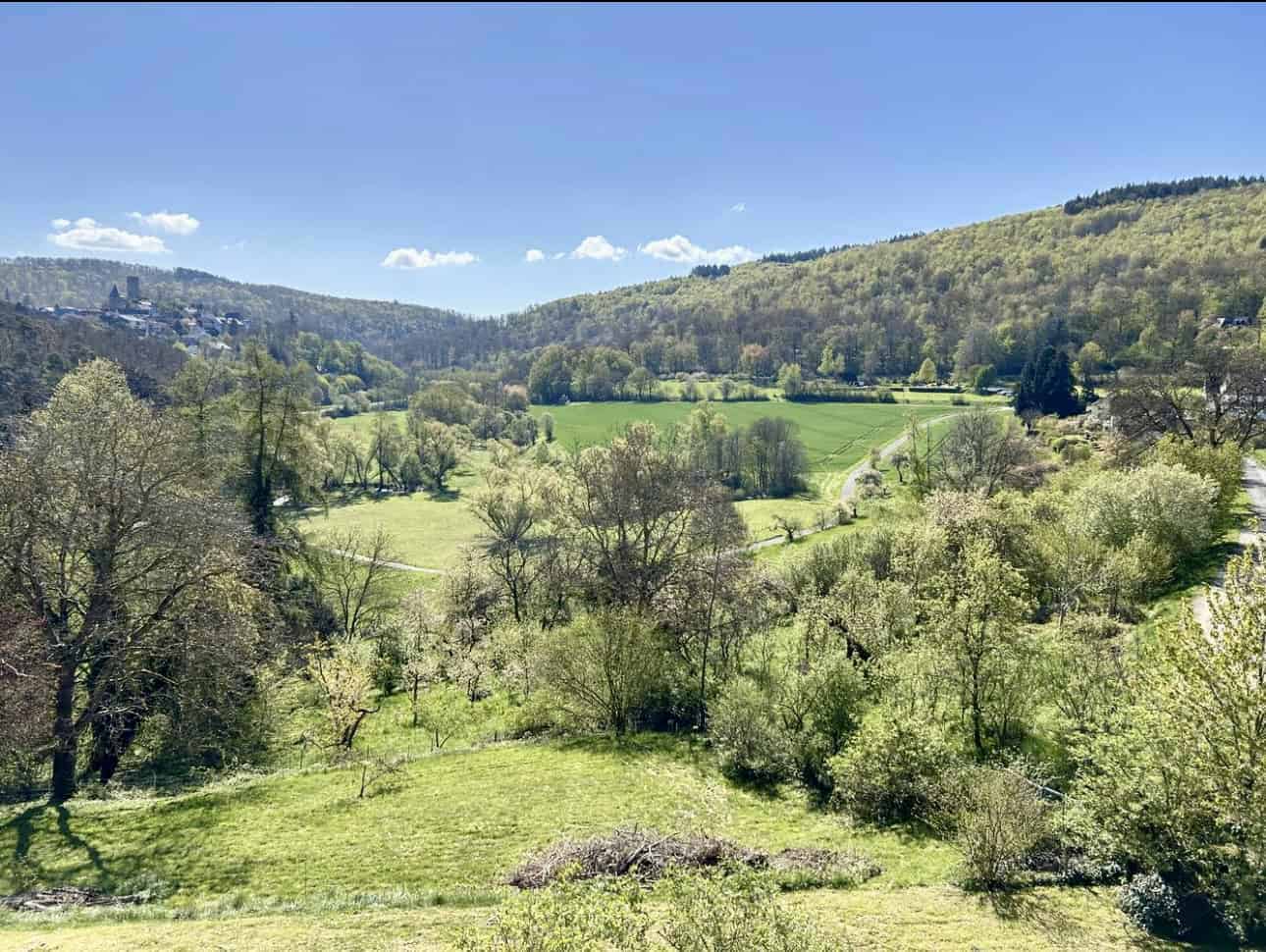Hundebetreuung im Taunus
