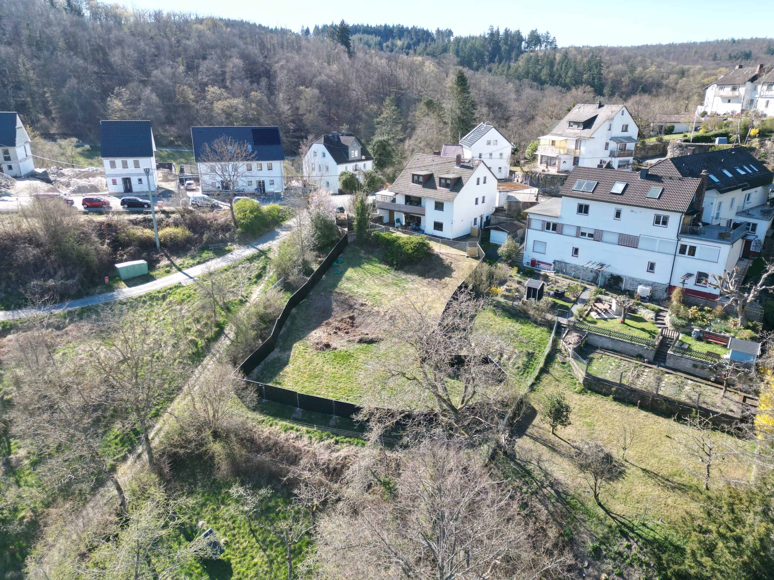 Hundebetreuung im Taunus