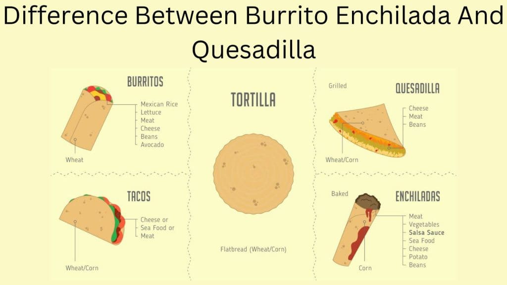 Difference-Between-Burrito-Enchilada-And-Quesadilla