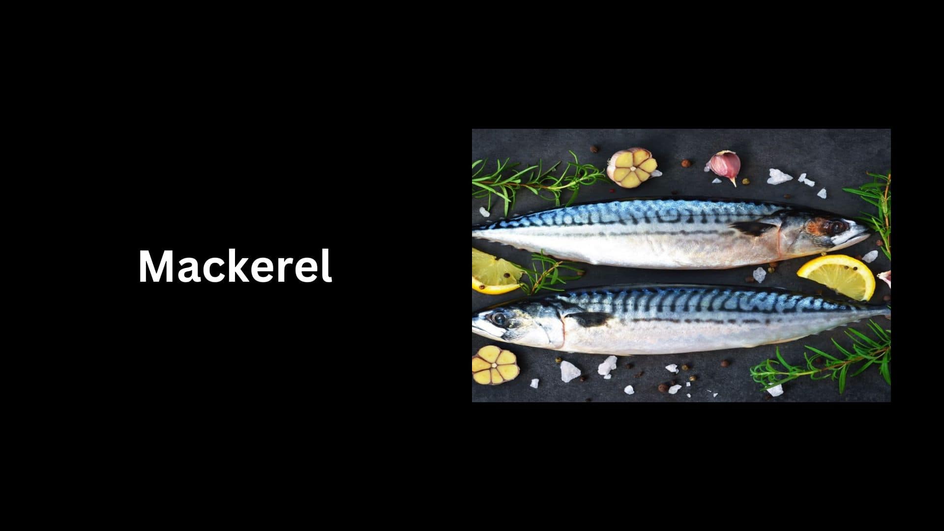 Mackerel 