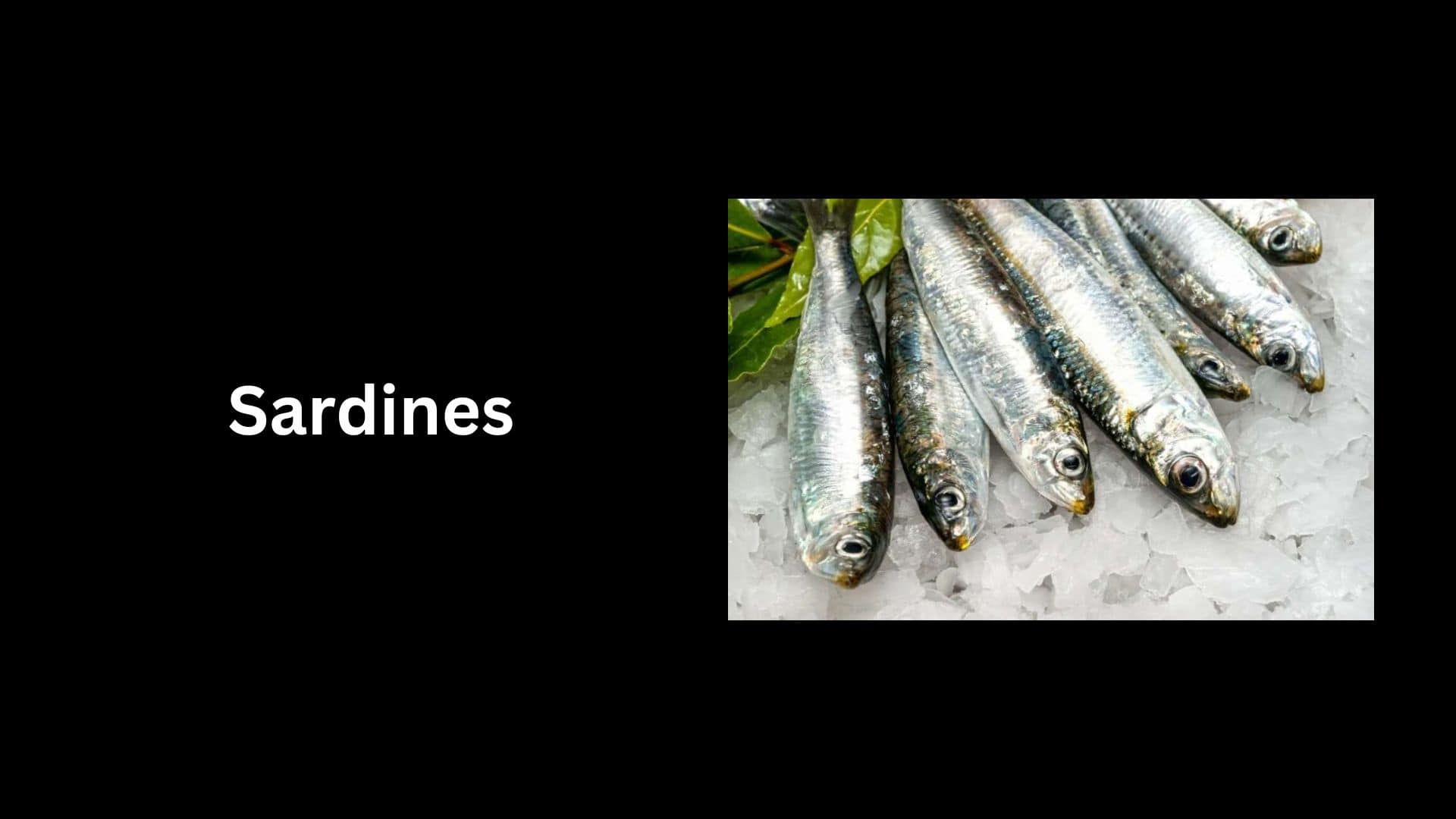 Sardines 