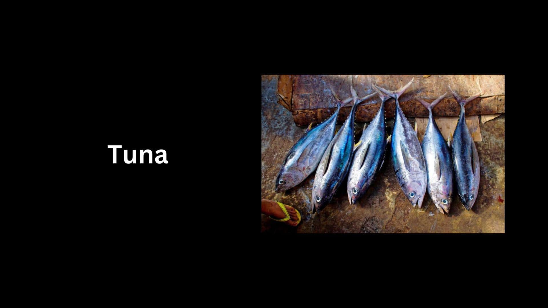 Tuna