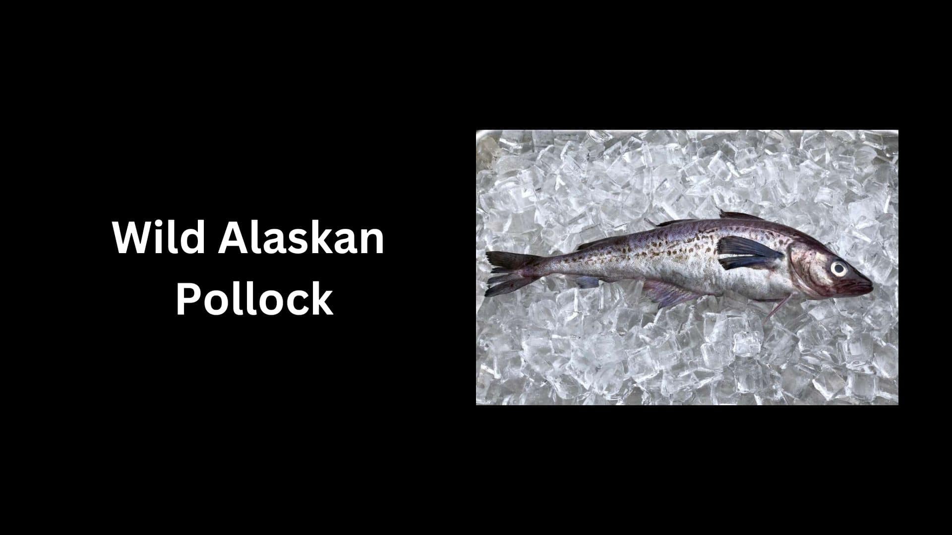 Wild Alaskan Pollock