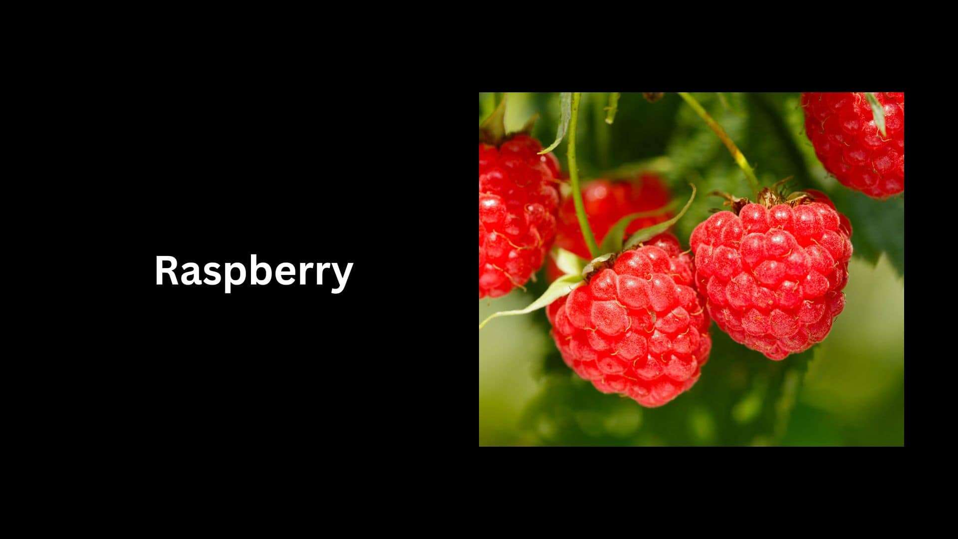Raspberry