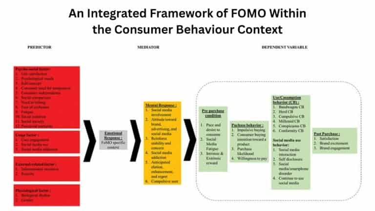 Many faces of FoMO: A qualitative in-depth investigation of context ...
