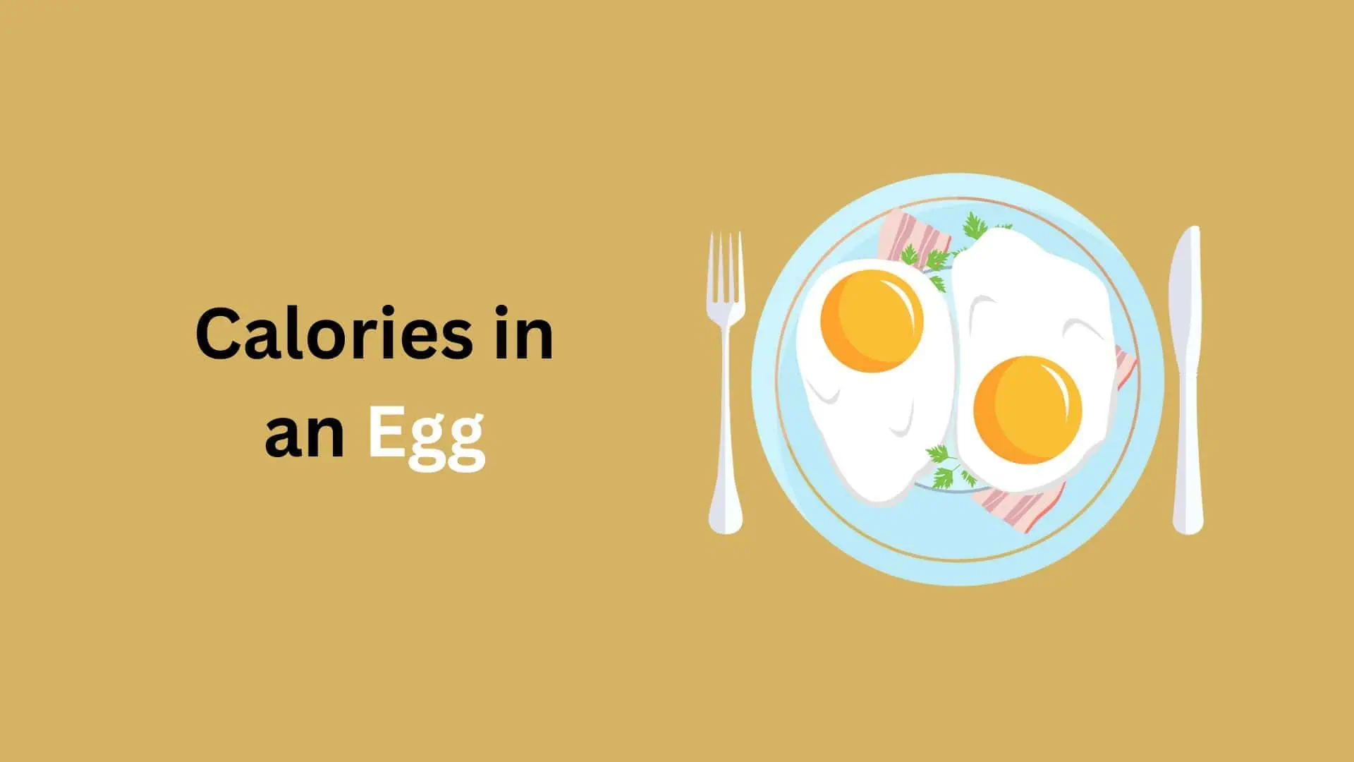 How Many Calories in an Egg And Nutritional Facts (2026)