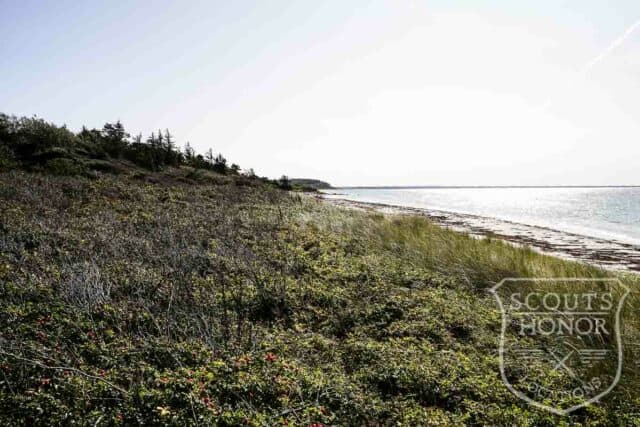 havudsigt moderne arkitektur sommerhus panorama photoshoot location denmark scoutshonor (16 of 20)