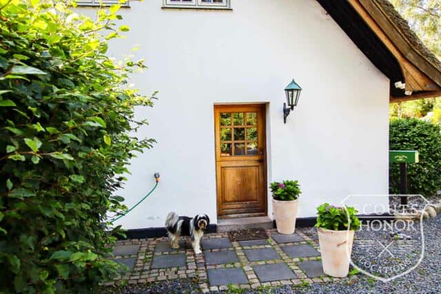 villa countryside stråtæk location denmark scoutshonor00005