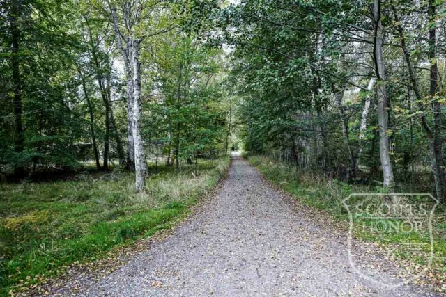 bjlkehytte porch grspatag naturgrund nordsjlland location danmark scoutshonor2of15
